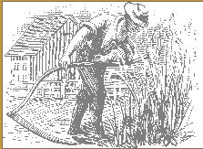 Jack Fish -Understanding God's Sovereignty in True Revival