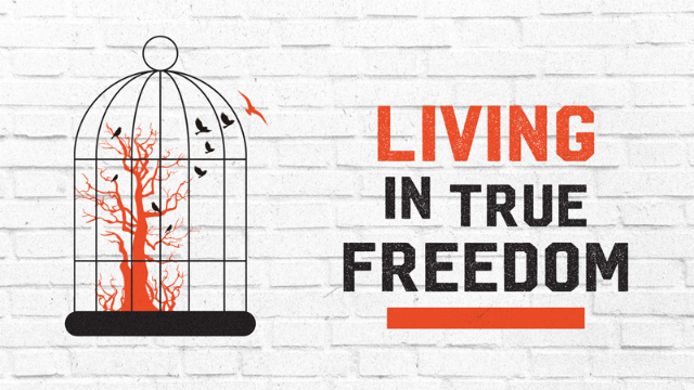 07-01-2020 Living In True Freedom episode artwork