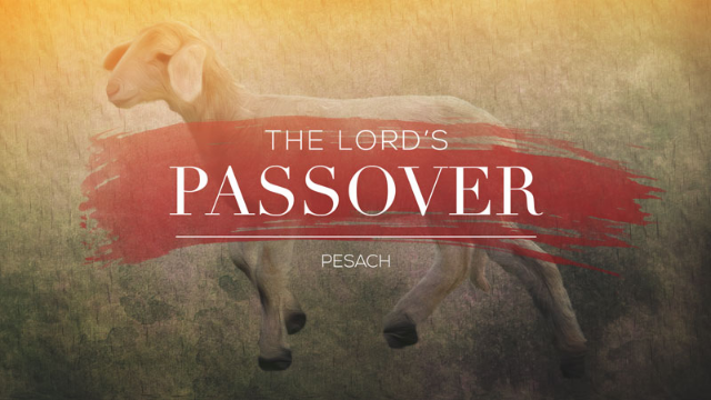 04-08-2020 The Passover Pastor Roy Harris episode artwork