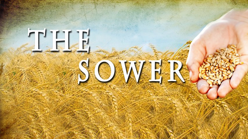 03-23-16 The Sower episode artwork