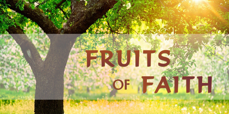 11-05-2017 Fruits of Faith - part 1 episode artwork
