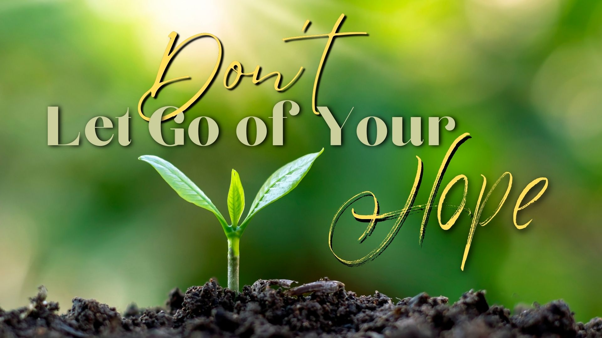 Don't Let Go of Your Hope episode artwork