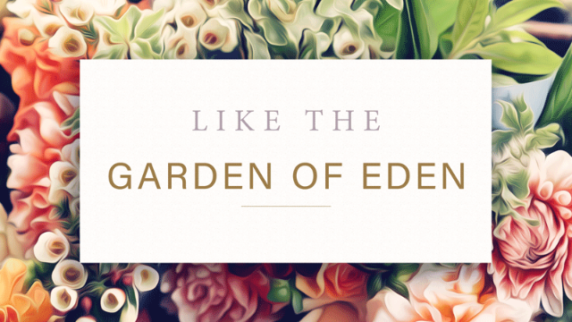 11-10-2019 Like the Garden of Eden episode artwork