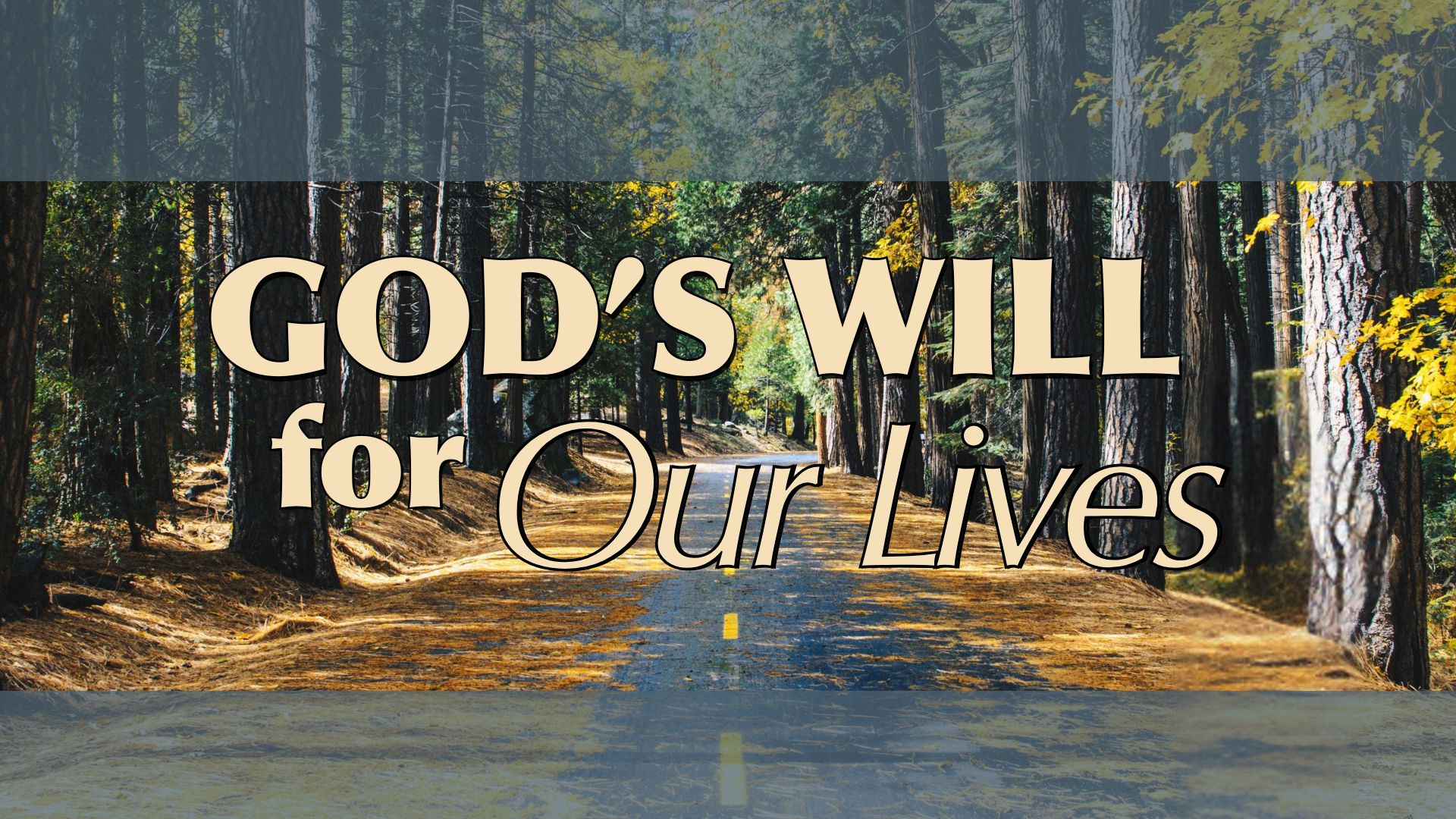 11-3-2024_God's_Will_for_Our_Lives_Pastor_Michael_Murray episode artwork