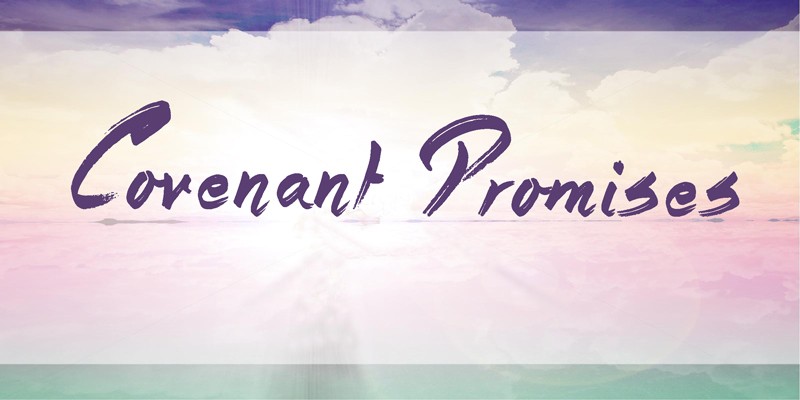 04-16-2017 Covenant Promises episode artwork