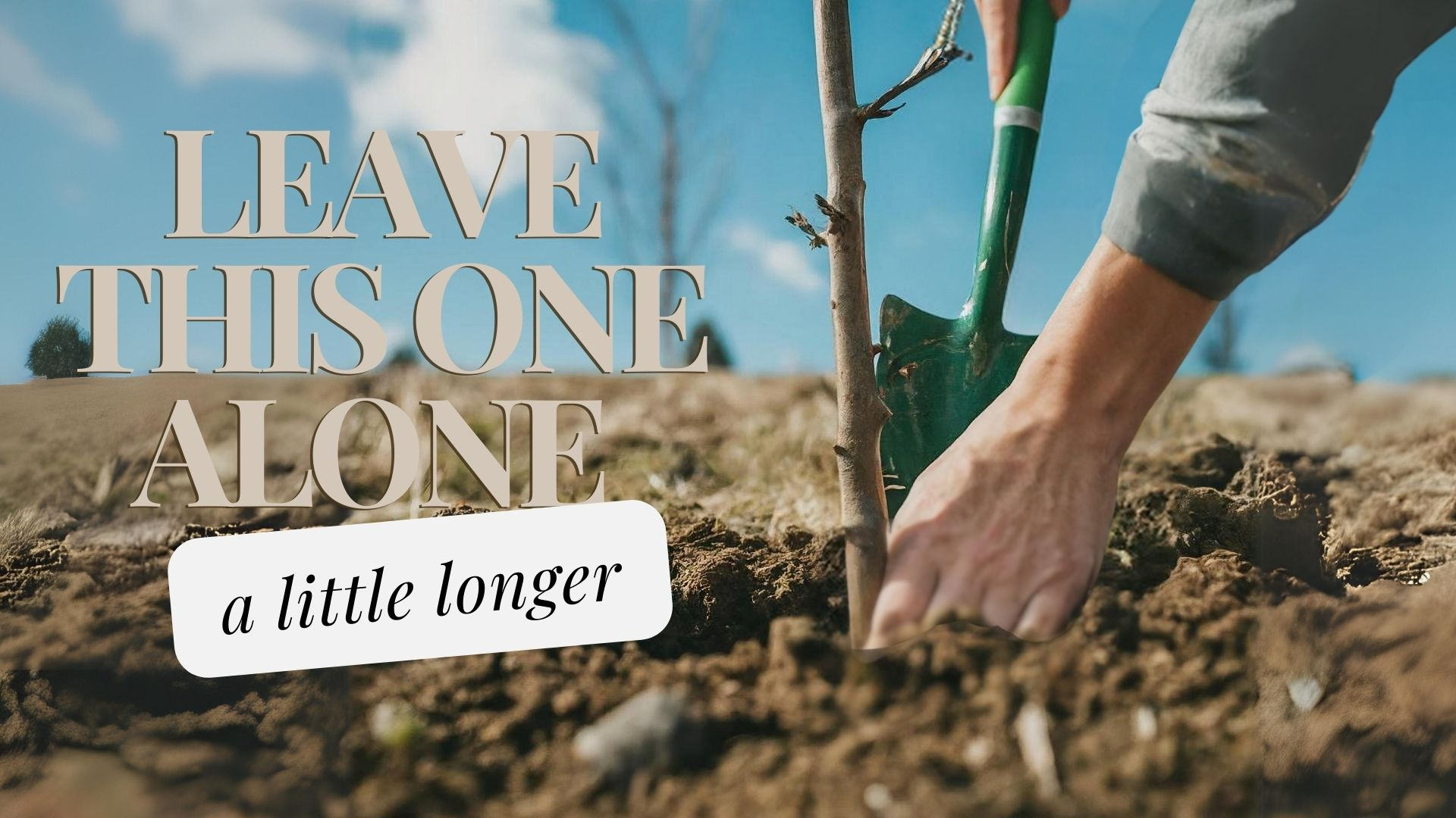 Leave This One Alone A Little Longer episode artwork