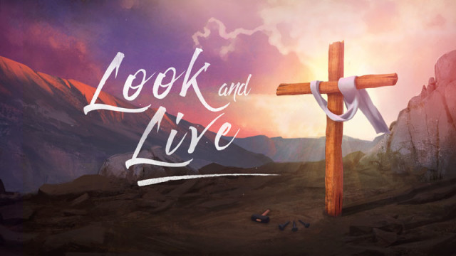 04-14-2019 Look and Live episode artwork