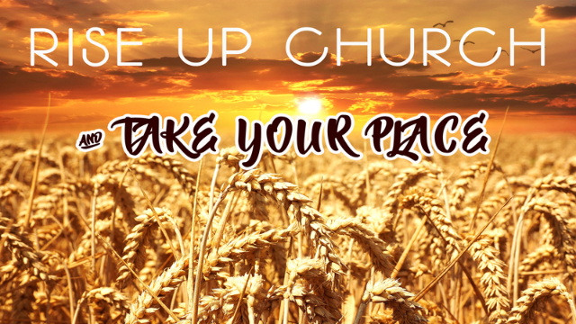 07-29-2020 Rise Up Church - Tim Twitchell episode artwork