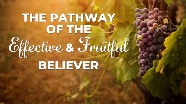 10-23-2022 The Pathway of the Effective & Fruitful Believer episode artwork