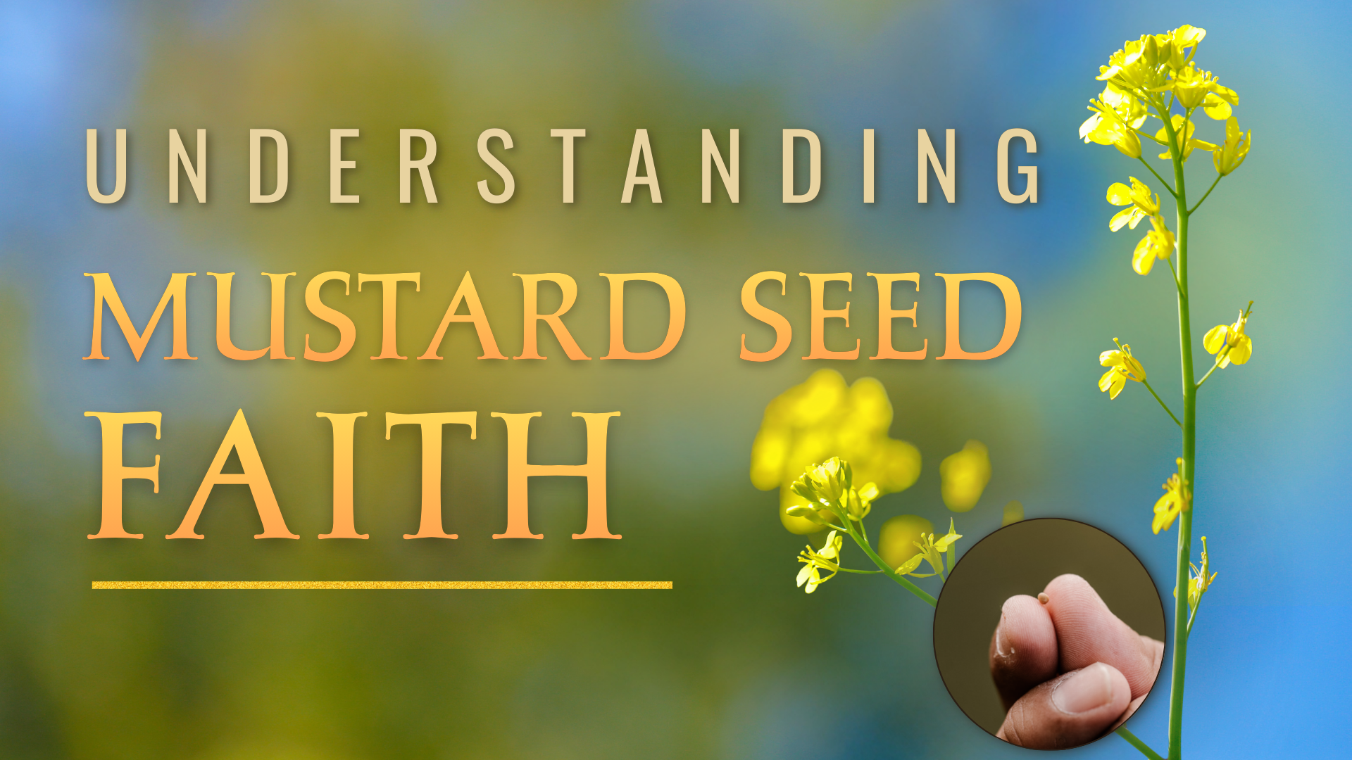 Understanding Mustard Seed Faith episode artwork