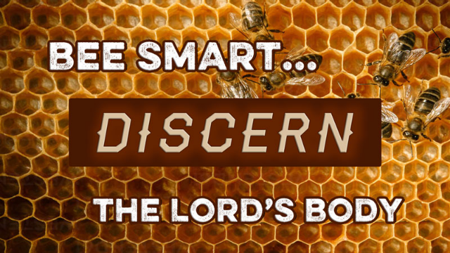 02-02-2022 Bee Smart..Discern the Lord's Body episode artwork