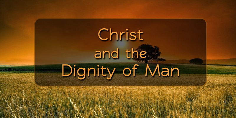 Christ and the Dignity of Man - part 2 episode artwork