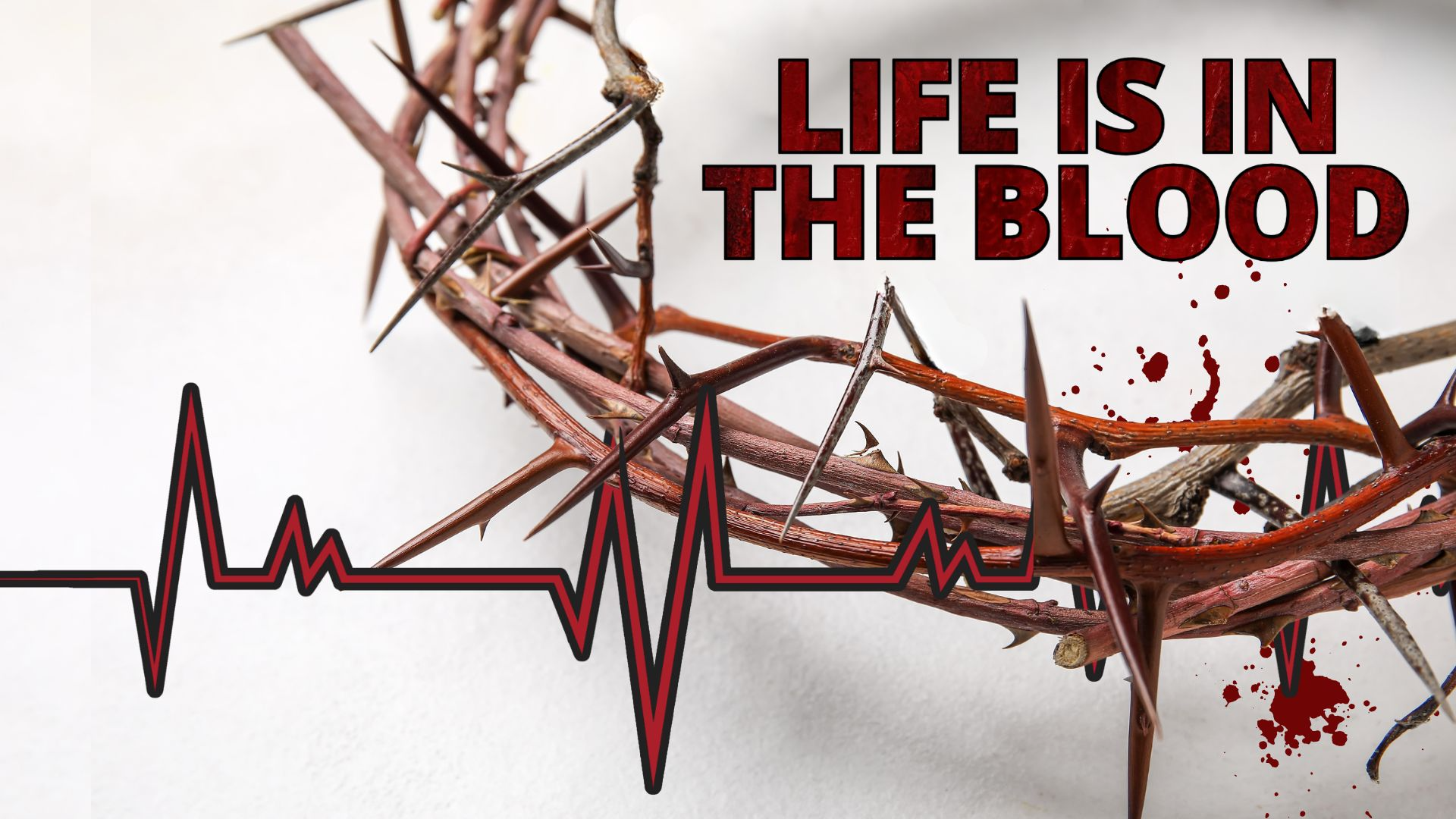 03-19-2025 Life Is In the Blood episode artwork