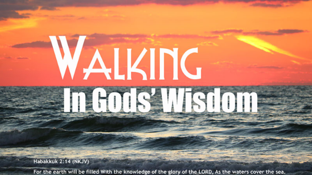 09-29-2021 Walking in God's Wisdom - Tim Twitchell episode artwork