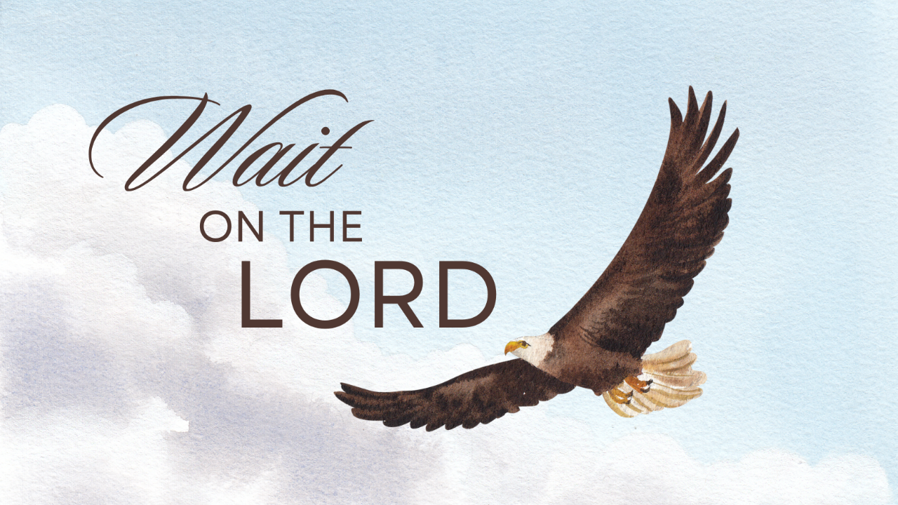 01-19-2025 Wait On The Lord episode artwork