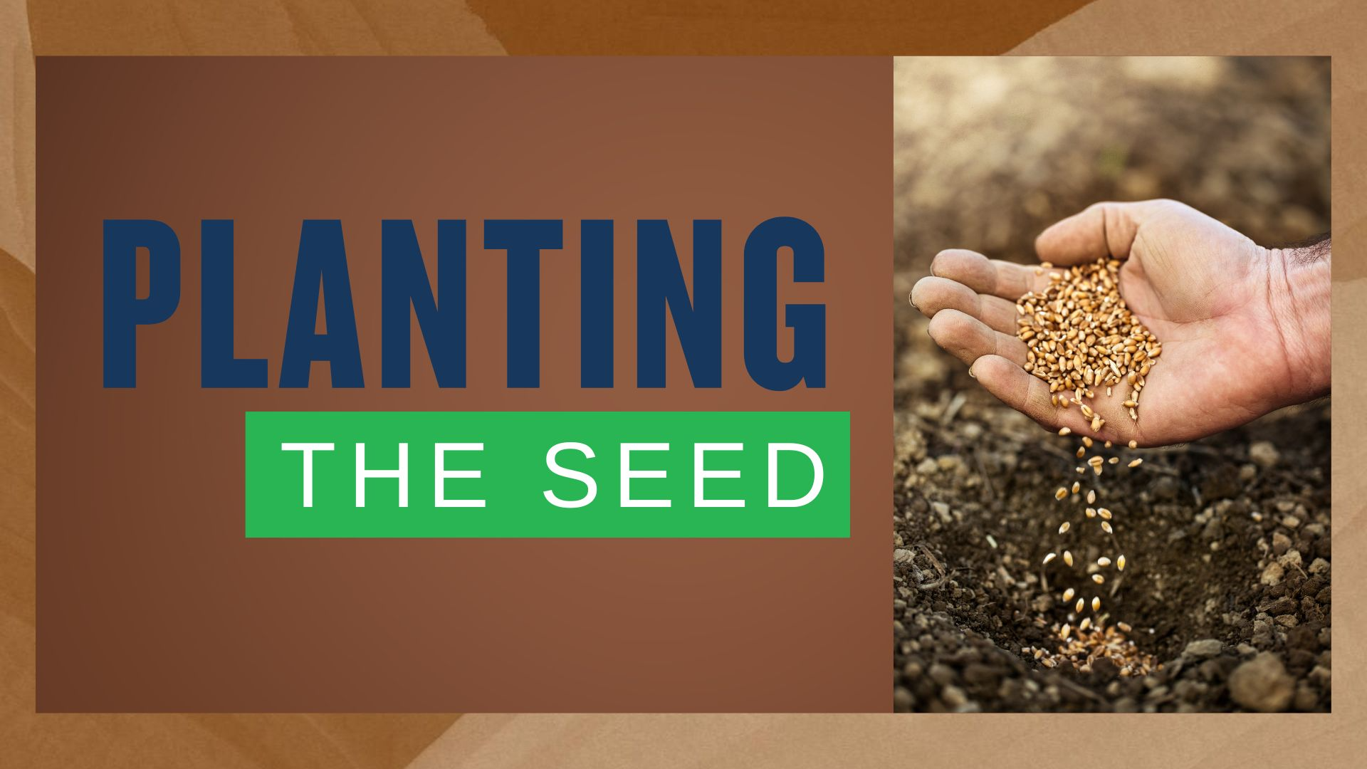 03-12-2025 Planting the Seed episode artwork