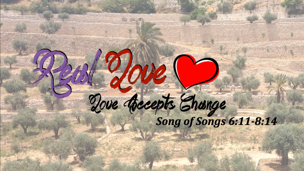 Love Accepts Change - Audio episode artwork