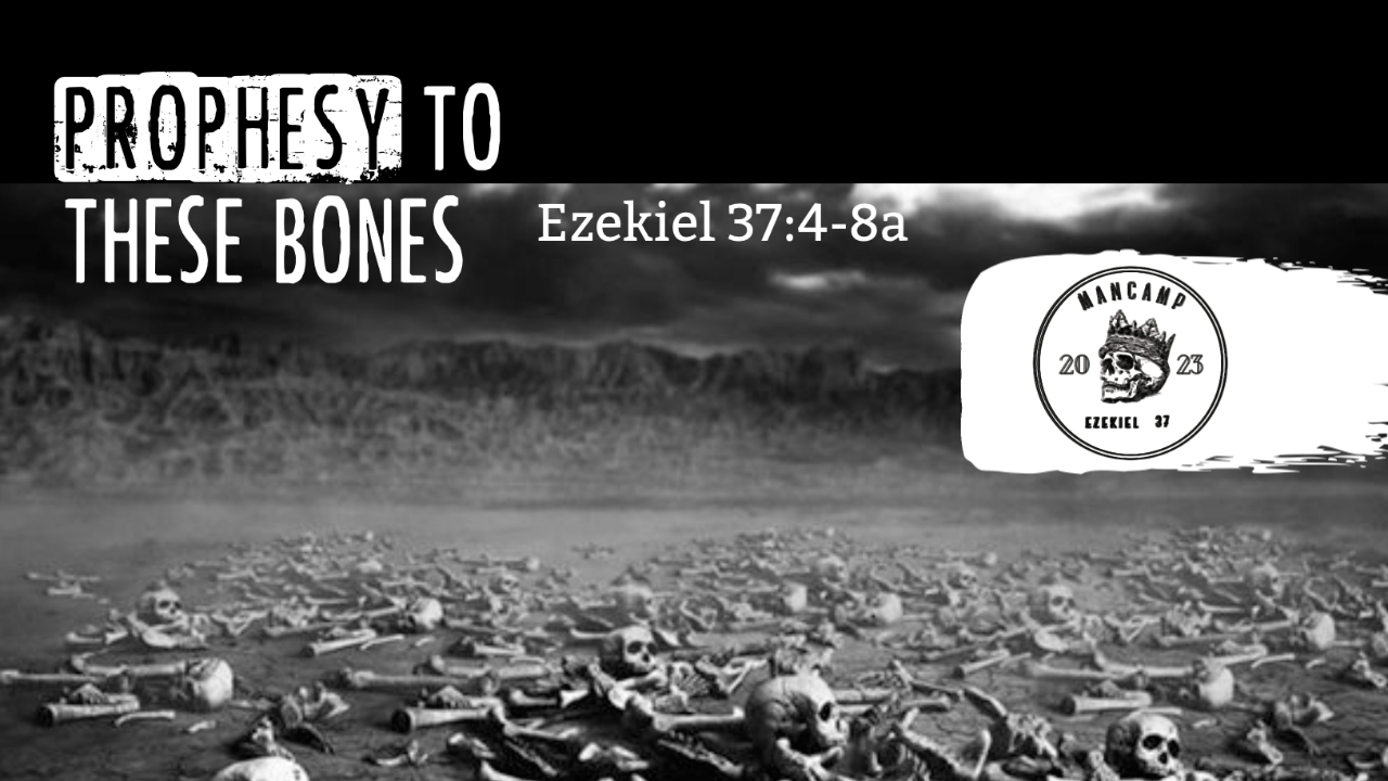 Prophesy to These Bones - Audio episode artwork