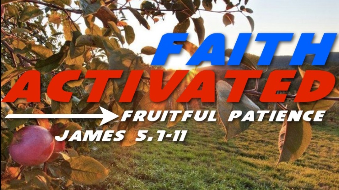 Fruitful Patience