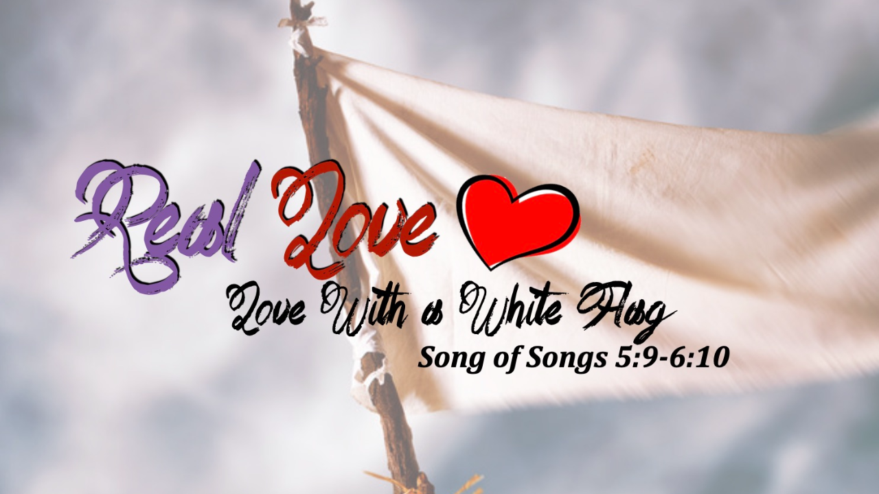 Love with a White Flag episode artwork