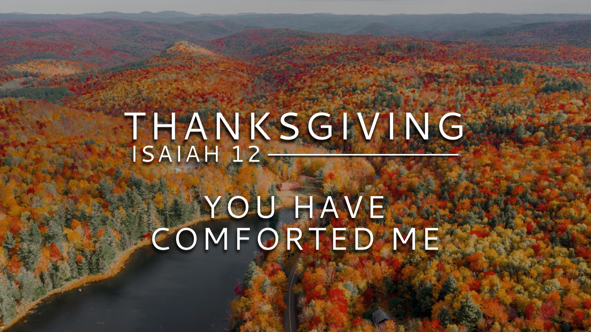 You Have Comforted Me episode artwork