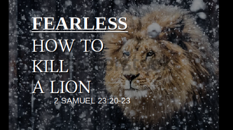 Fearless: How to Kill a Lion episode artwork