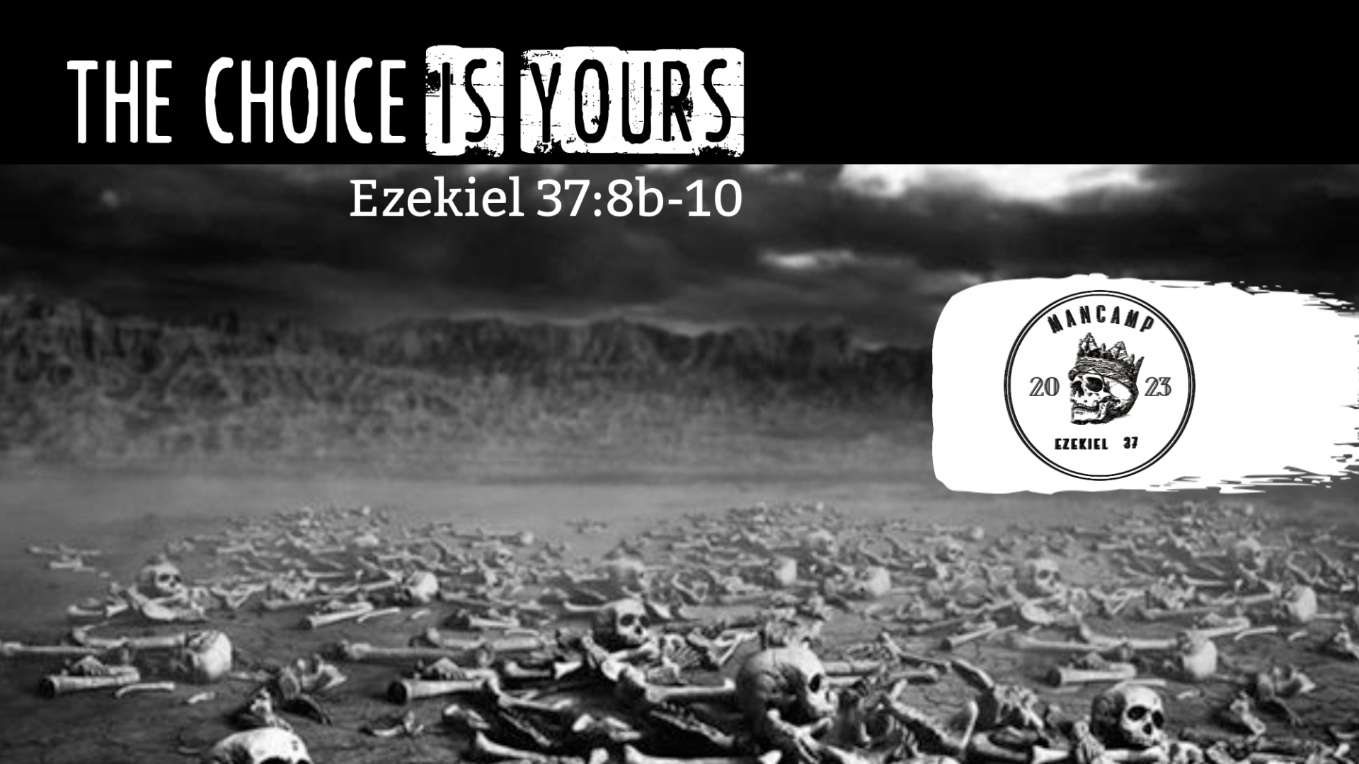 The Choice is Yours - Audio episode artwork