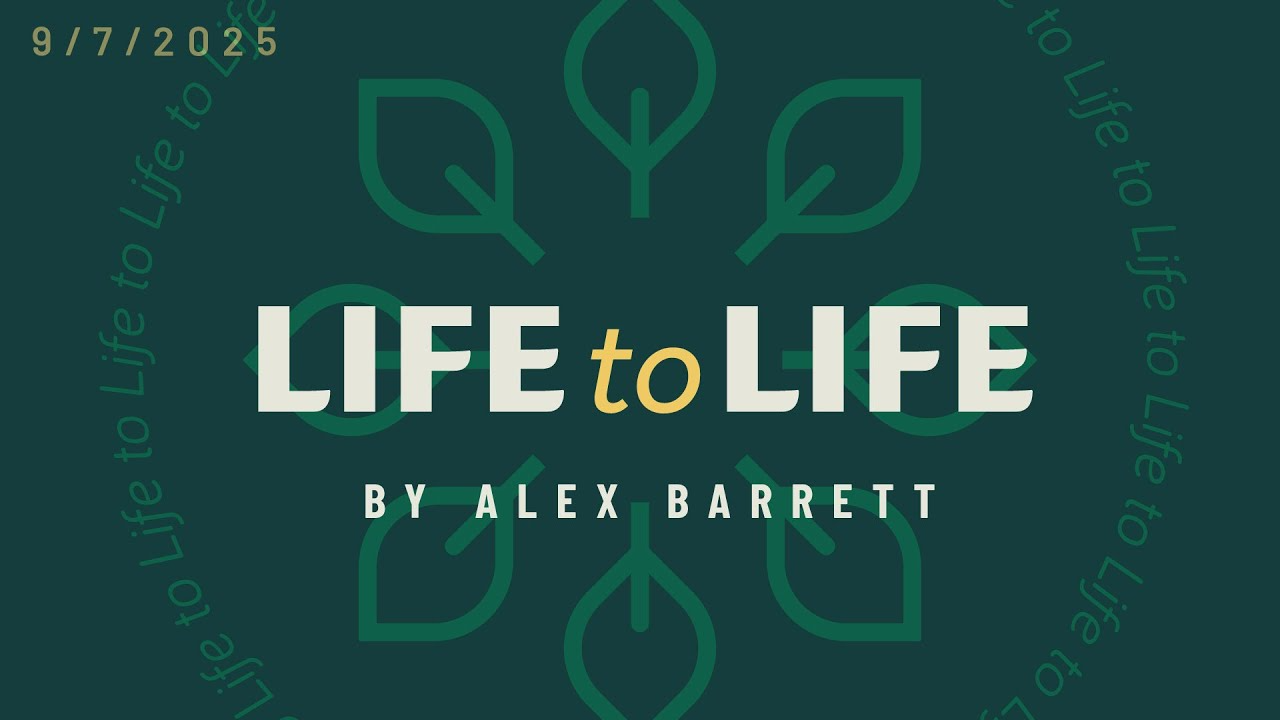 Life to Life episode artwork