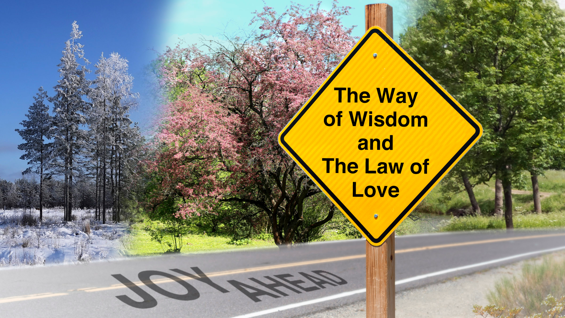 The Way of Wisdom and The Law of Love episode artwork