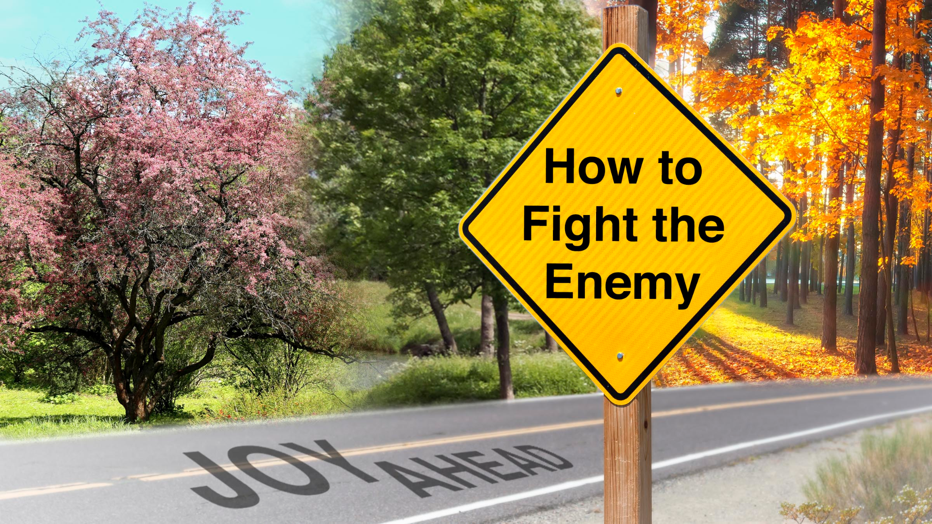 How to Fight the Enemy episode artwork