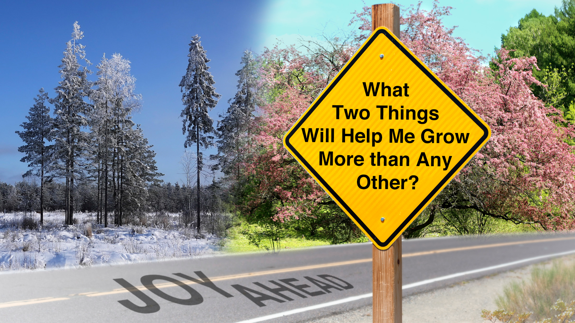 What Two Things Will Help Me Grow More than Any Other? episode artwork