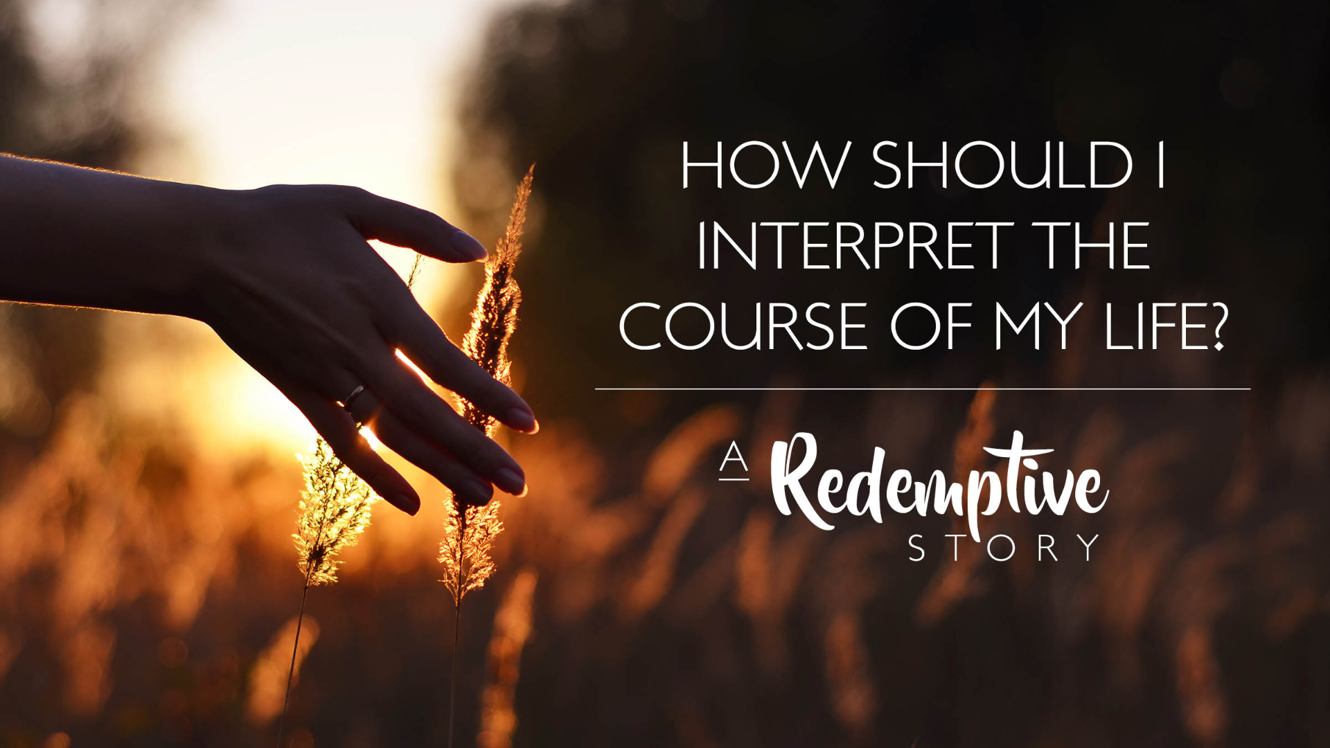 How Should I Interpret the Course of My Life? episode artwork