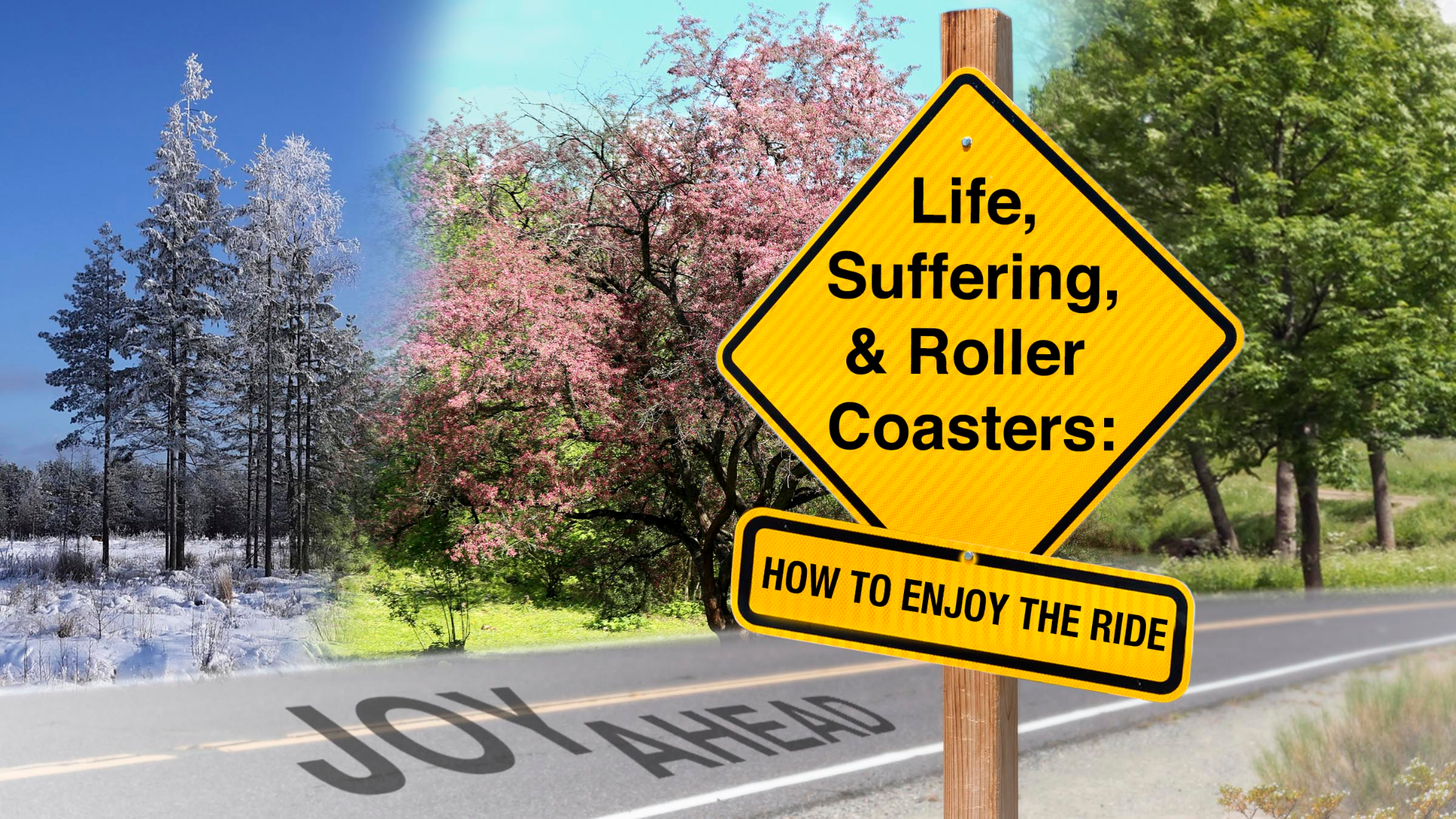 Life, Suffering, and Roller Coasters: How to Enjoy the Ride episode artwork