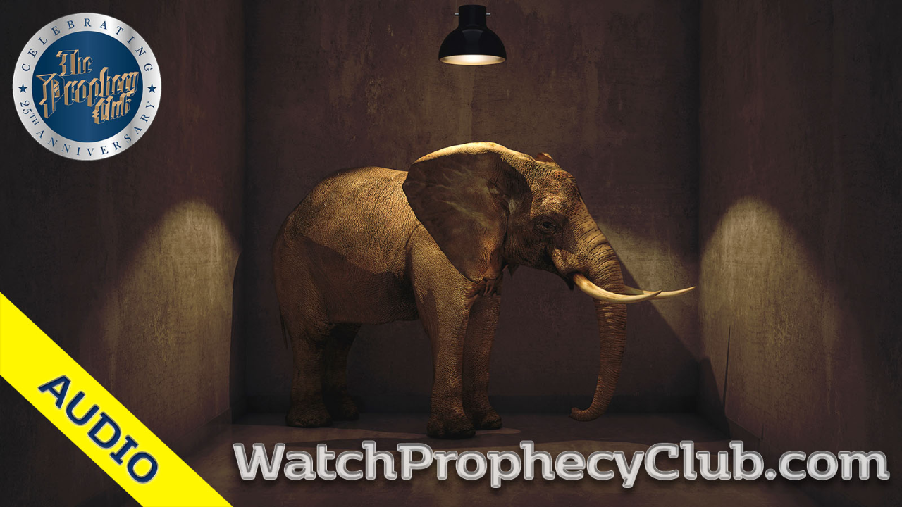 The Scary Elephant in the Room Stan 7-22-2019