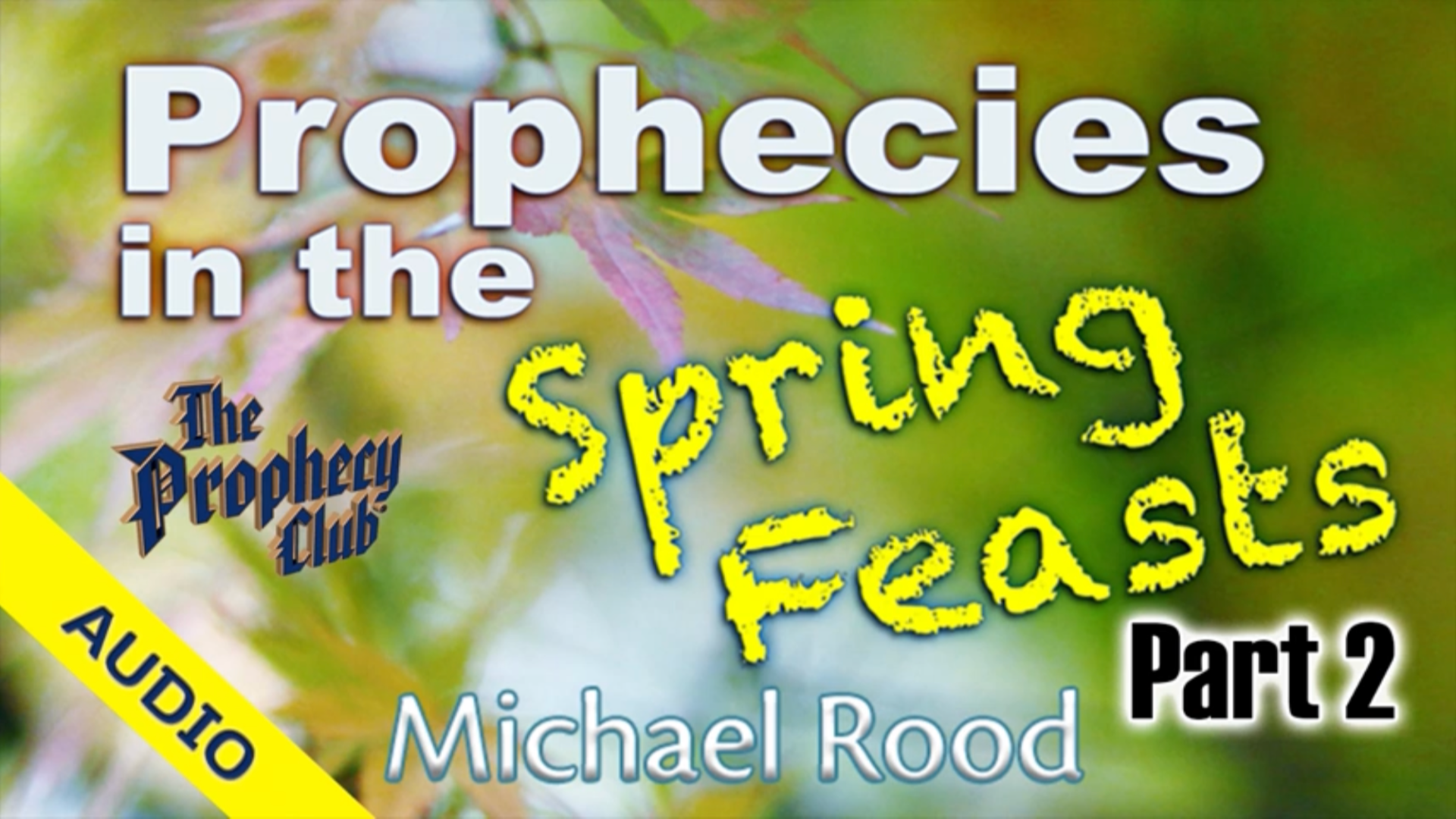 Spring Feasts 2 DVD By M. Rood 5-27-2019