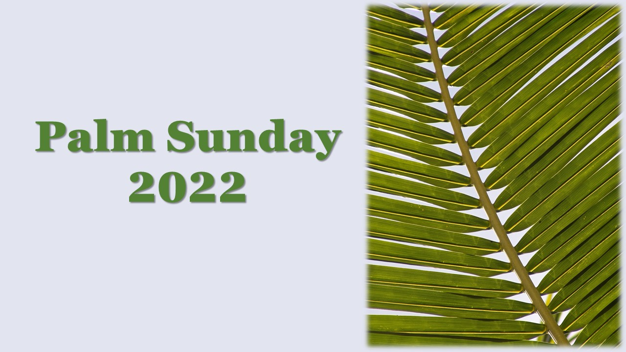 The Call of God (Palm Sunday 2022)
