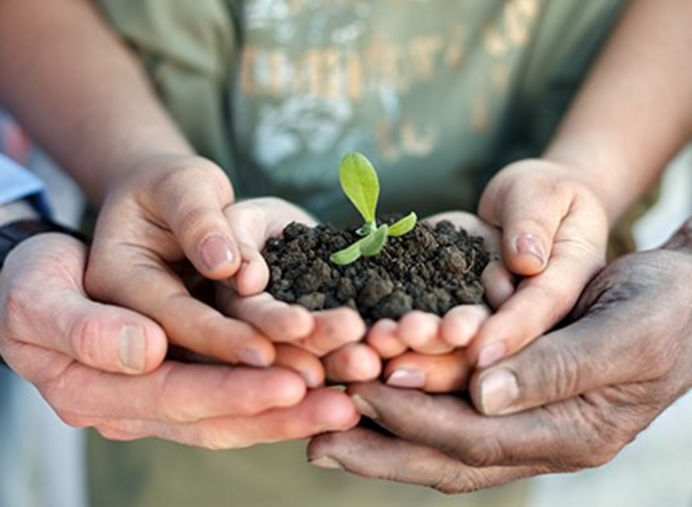 First Free Methodist Church