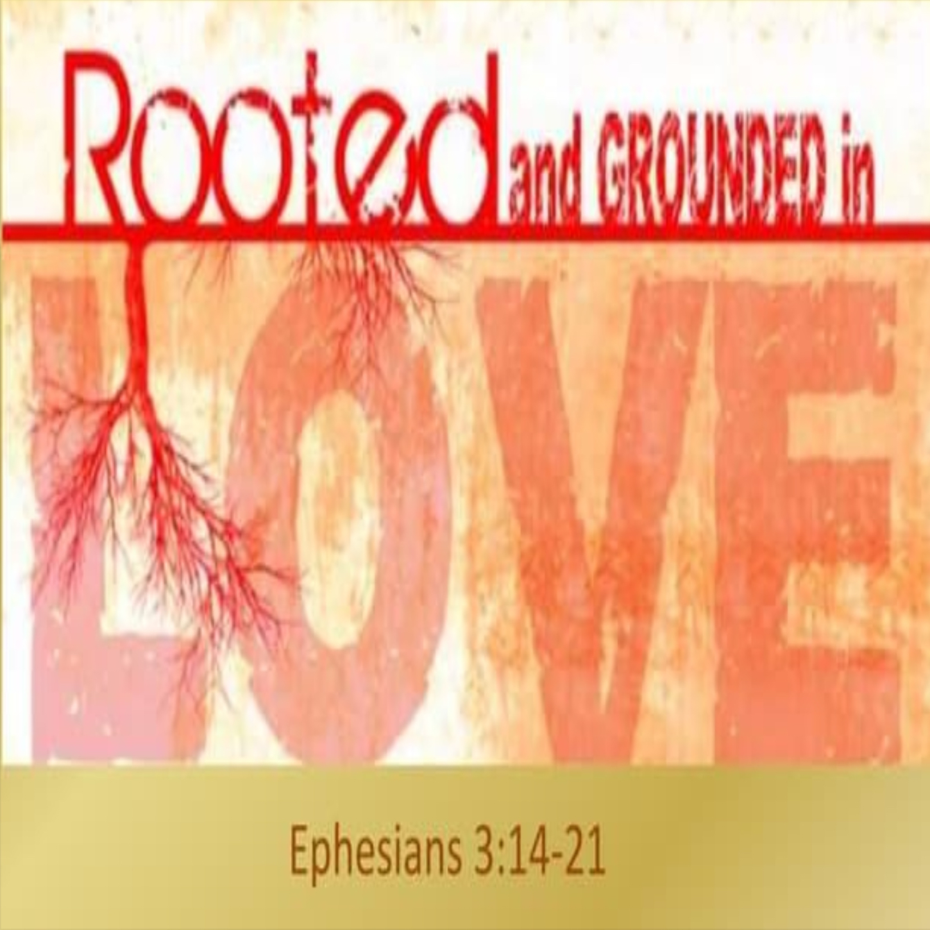 Rooted & Grounded in Love - Audio episode artwork