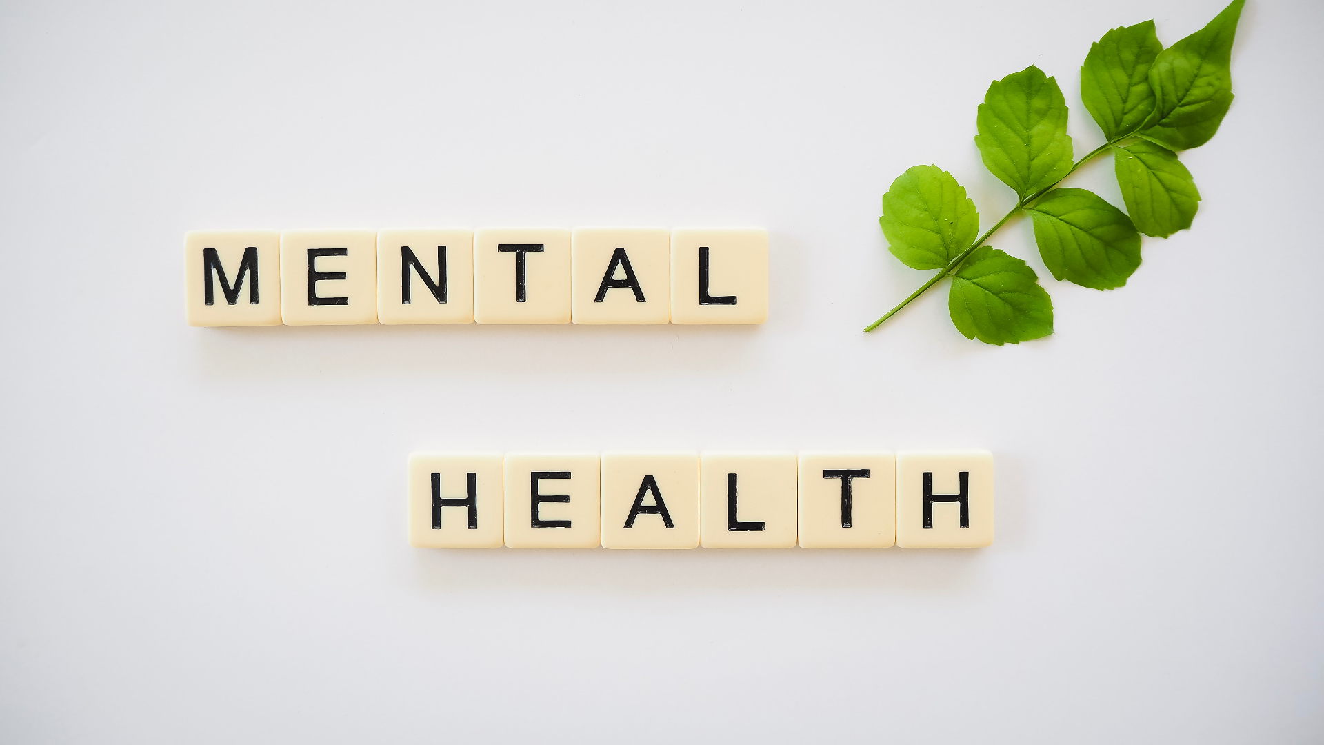 Mental Health Forum Part 1 - Audio episode artwork