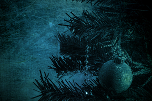 Traveling With The Wise Men