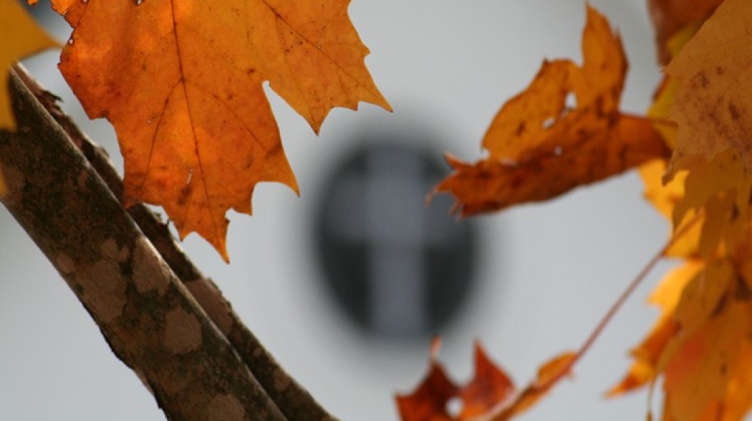 Paul's Great Burden Rom 9