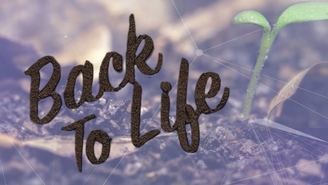 Back to life-Week 2 - Audio