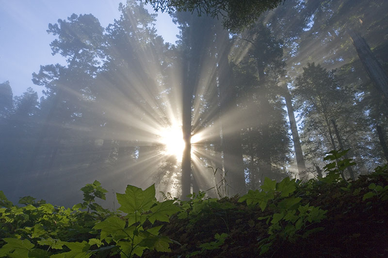 A 2-minute introduction 