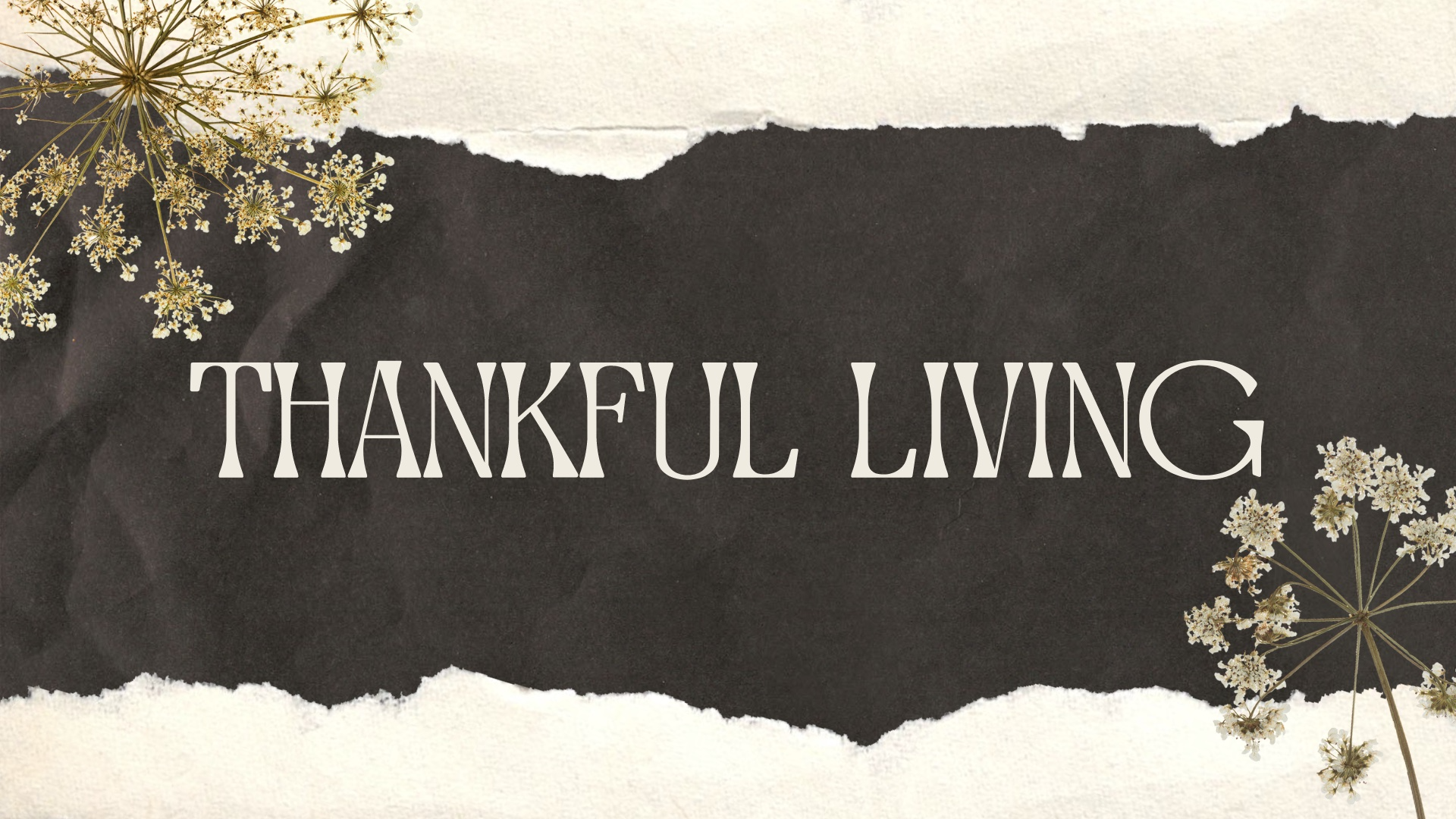 Thankful Living episode artwork