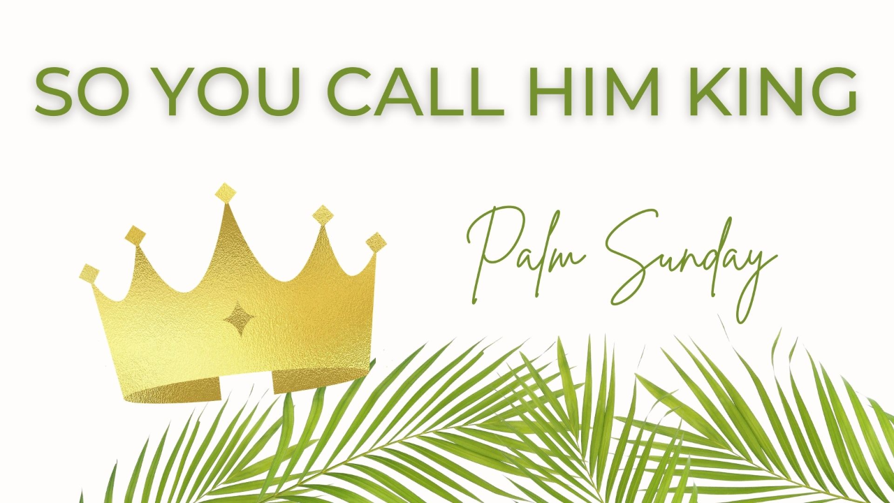 So You Call Him King episode artwork