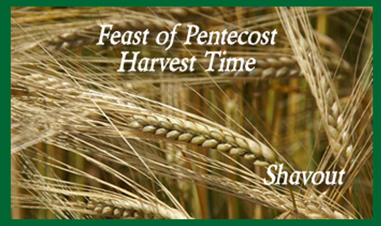 The Feast of Pentecost