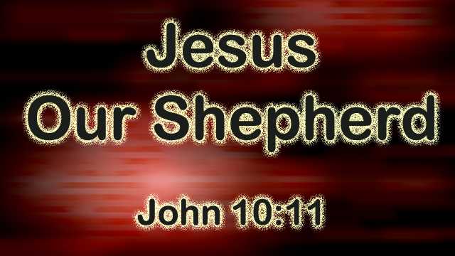 Our Shepherd
