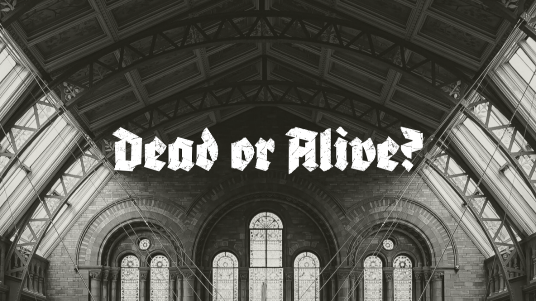 Dead or Alive? episode artwork
