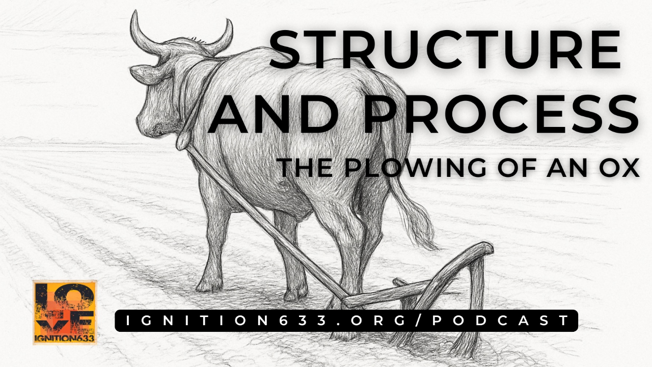 Structure & Process: The Plowing of an Ox episode artwork