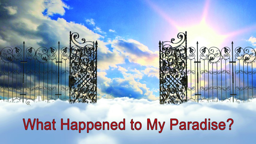 What Happened to My Paradise? episode artwork